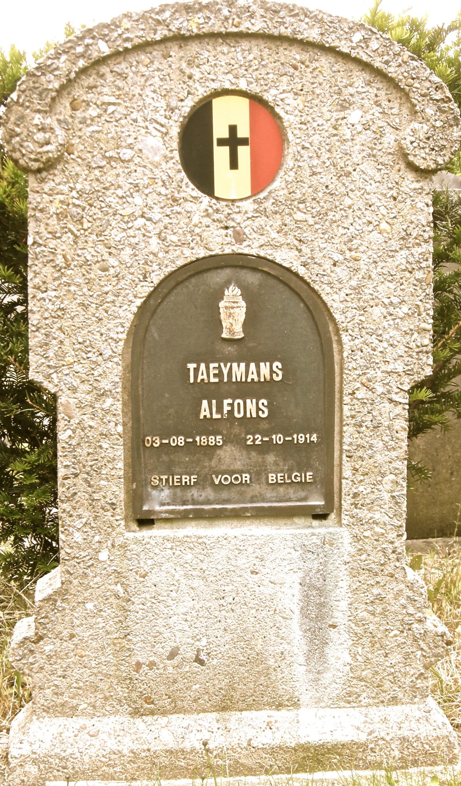 Taeymans Pierre Alphonse